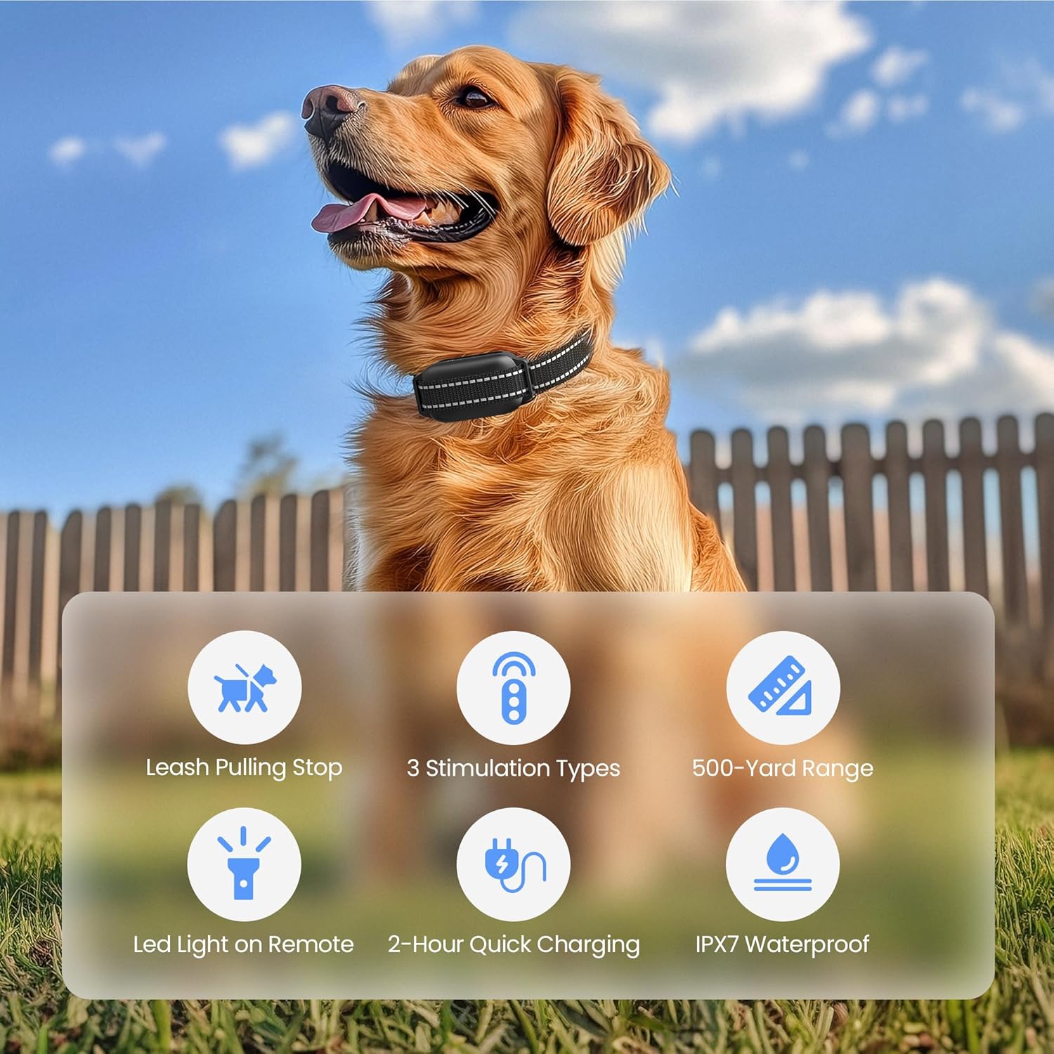 50% off Anti-Tugging Dog Training Collar with Remote Control
