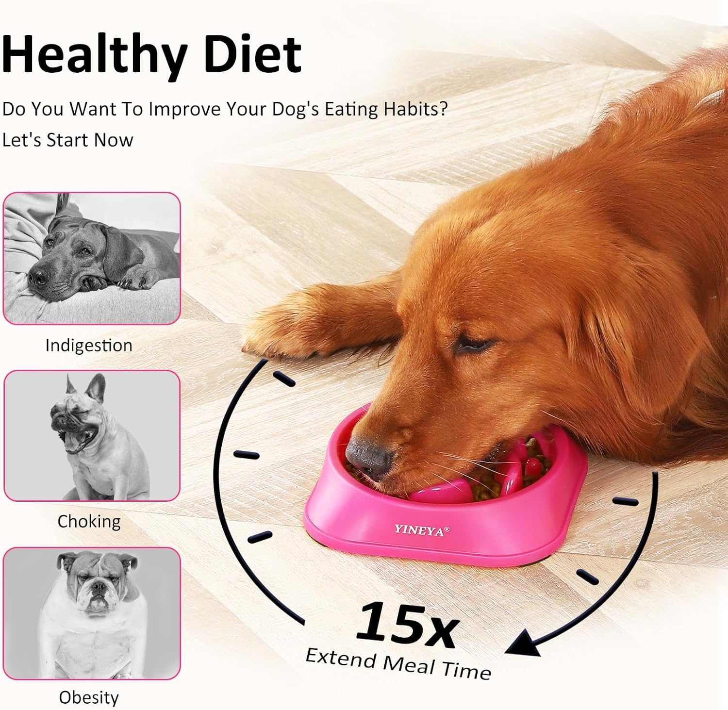 50% off Slow Feeder Dog Bowls