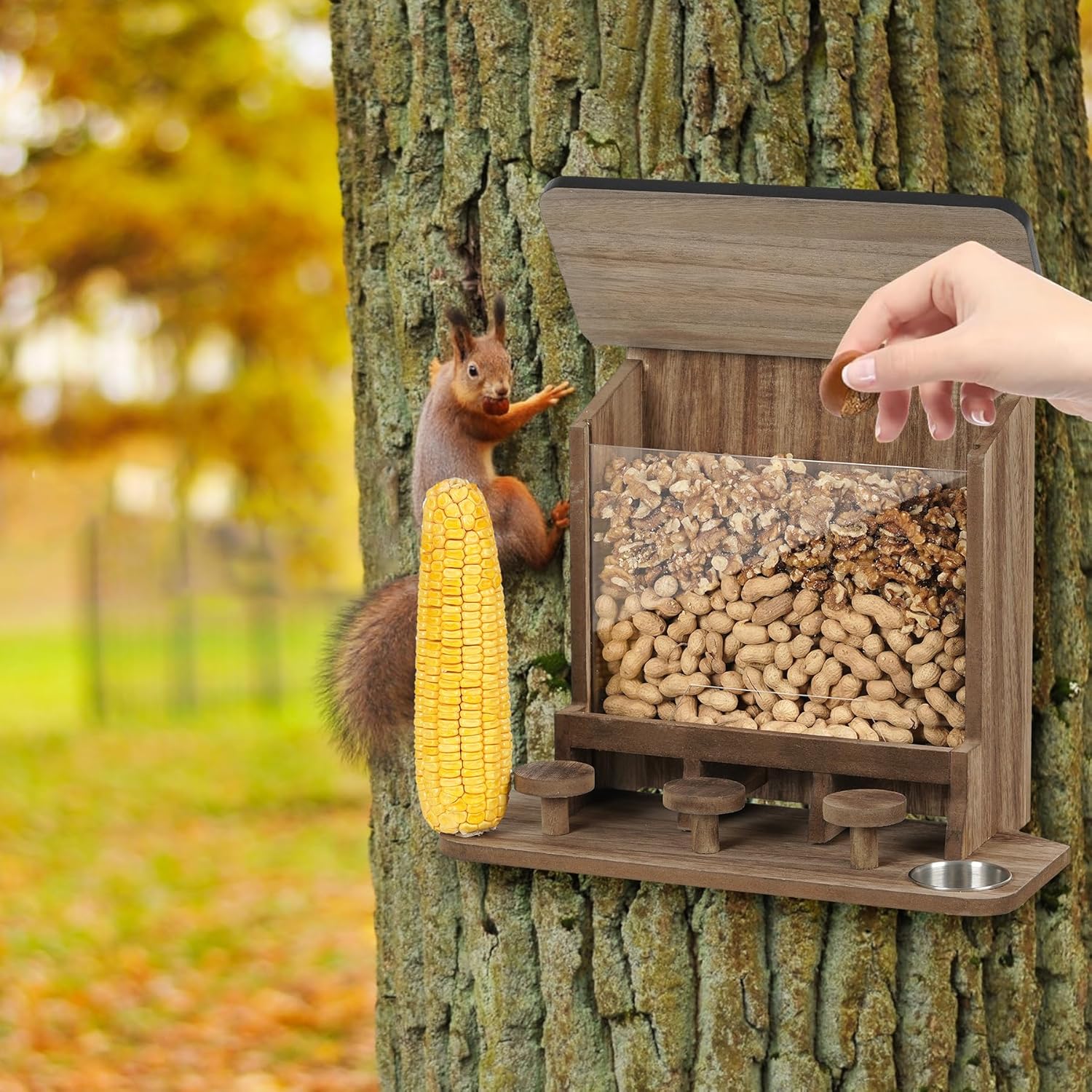 Squirrel Feeder,