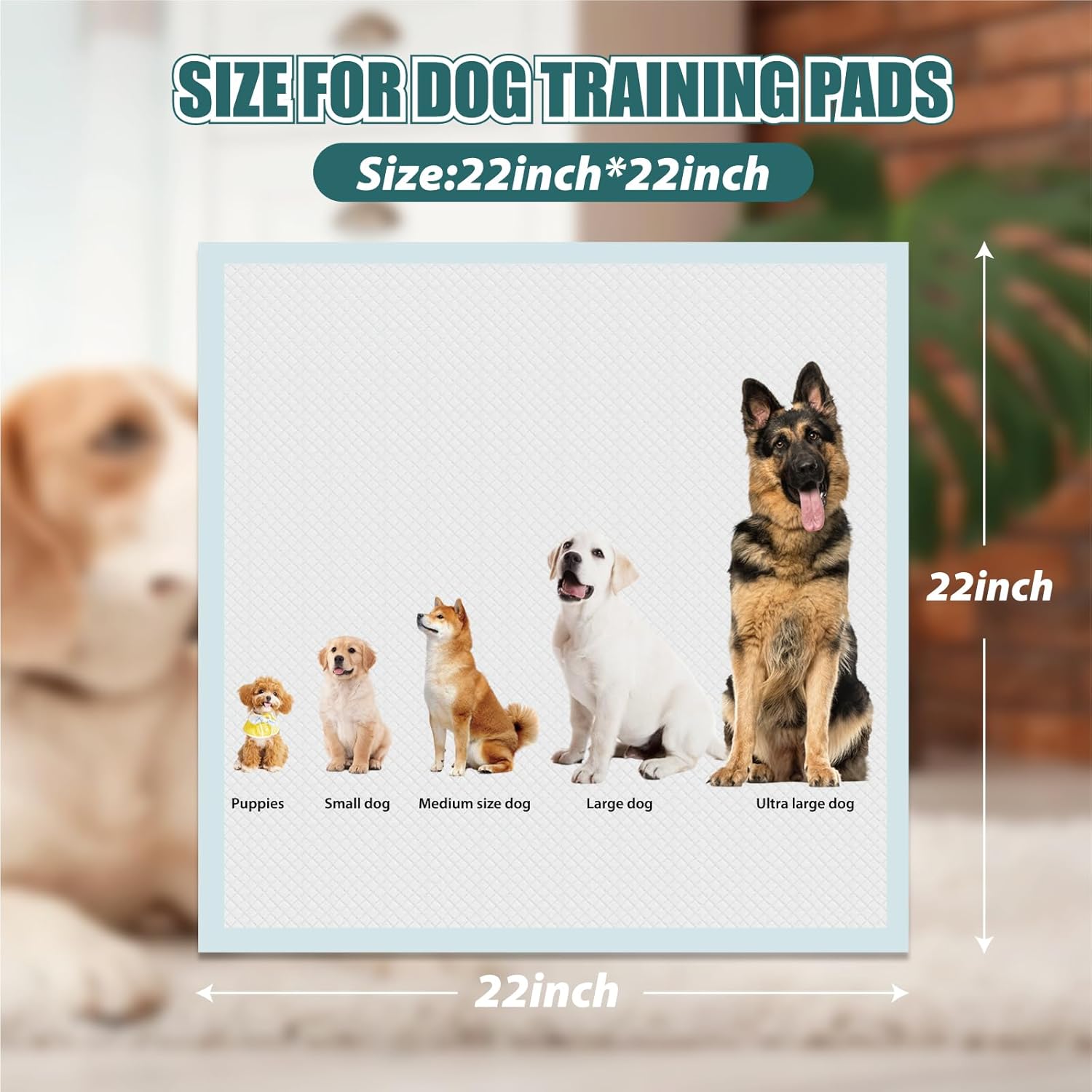 GWT Puppy Pads, Leak-Proof 22