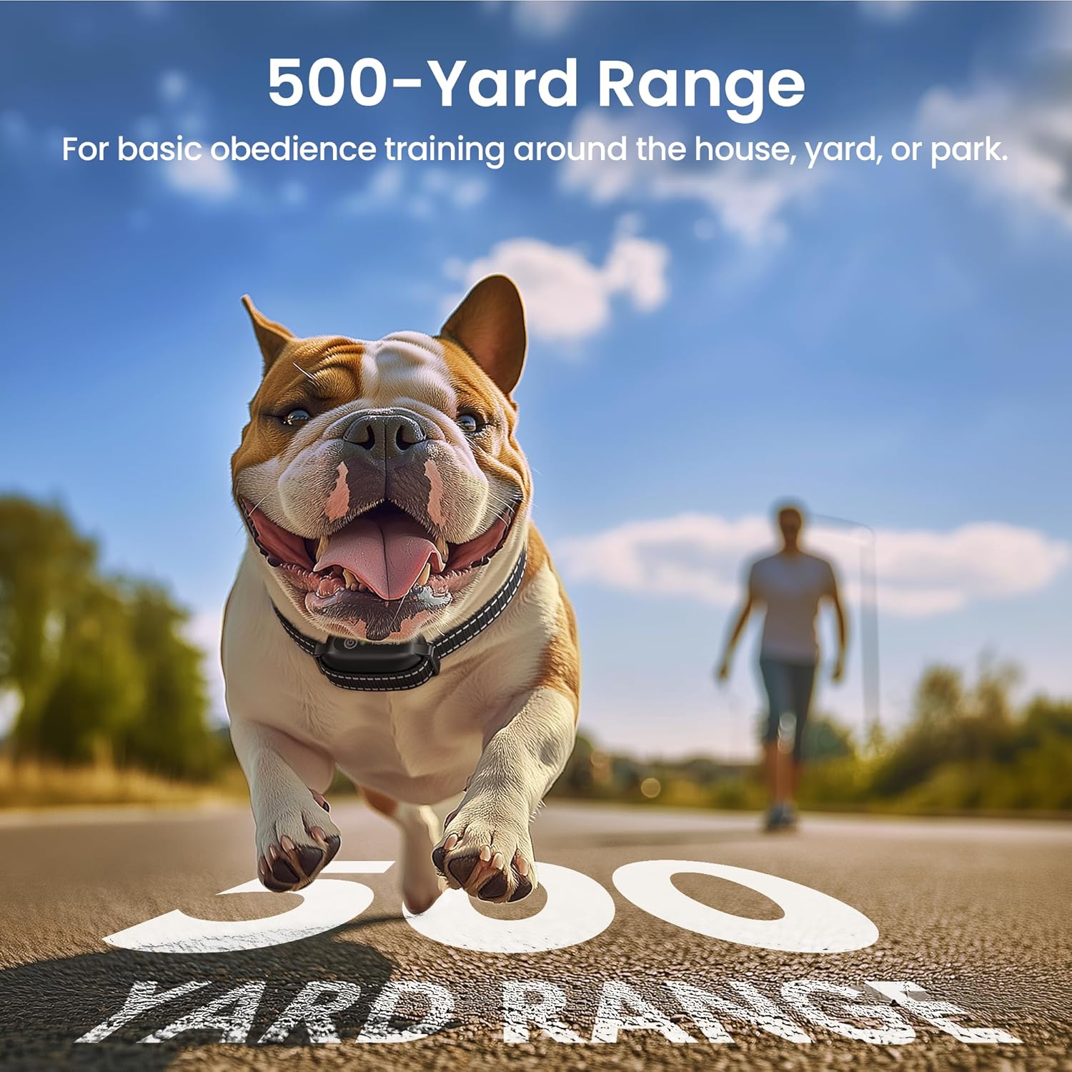 Anti-Tugging Dog Training Collar with Remote Control