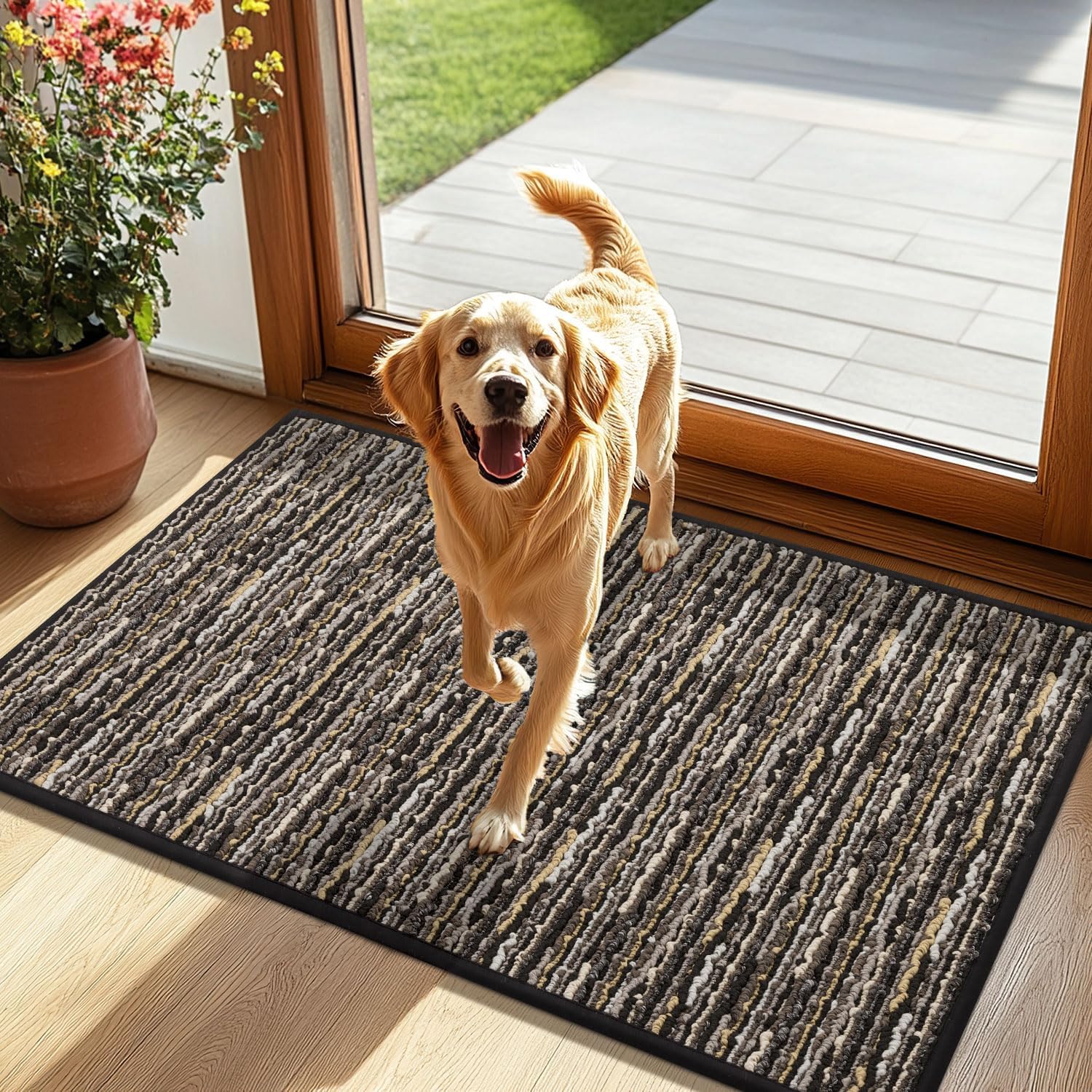  Pet Rug