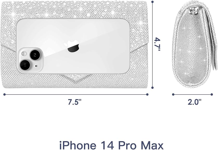 Evening Bag